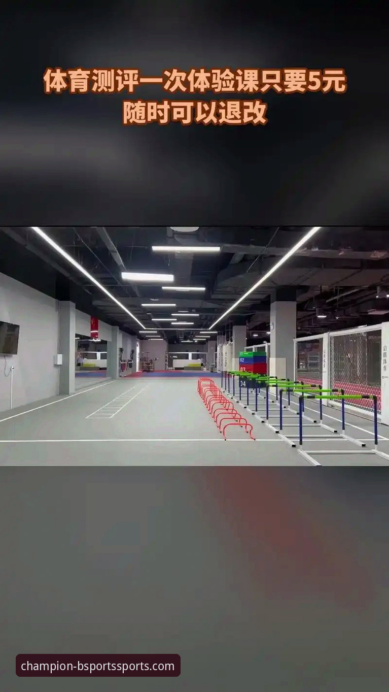 b体育平台安装与体验全面评测：从下载到投注的完整指南